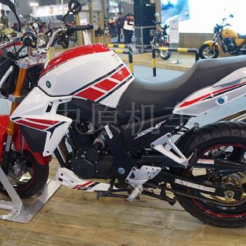  ���� ��YG250-NT